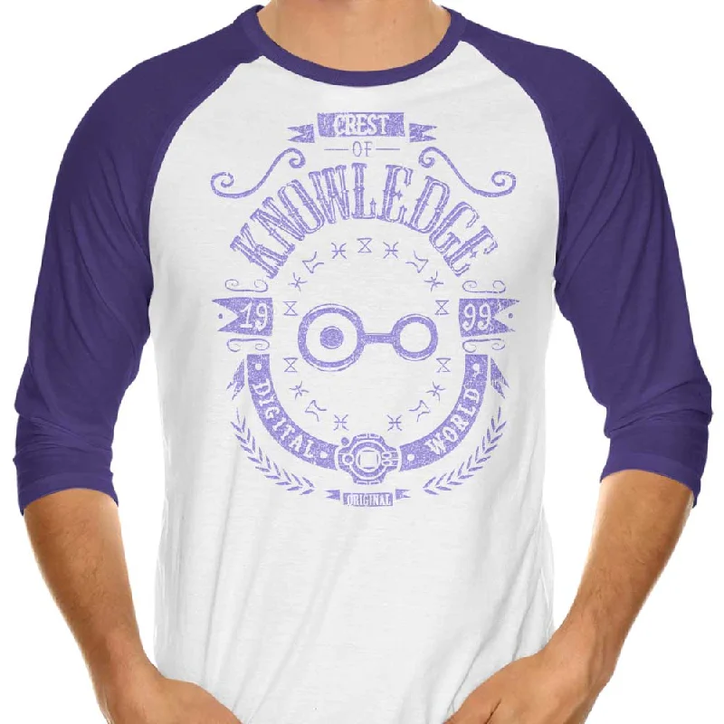 3/4 Sleeve Raglan T-Shirt / Purple / XS